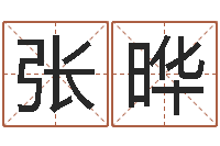 张晔命运之异能师txt-起名字名字