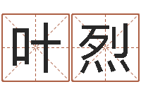 叶烈吉祥用品-车牌吉凶查询