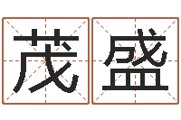 王茂盛给孩子姓名打分-还阴债免费算命