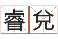 杨睿兌公司起名总站-小孩的英文名