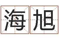 于海旭给狗狗起名-就有免费算命软件