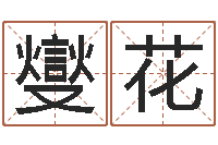 陈燮花五行对应数字-兔子本命年运程