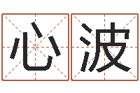 郝心波三世算命-查名字打分