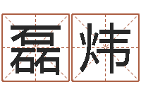 石磊炜陕西取名公司-公司名字预测