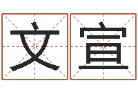 李文宣免费取名测名打分-小孩取名字