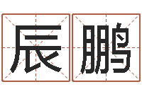 张辰鹏广告测名公司名字-免费给婴儿起名字