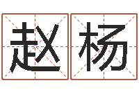 赵杨八字算命四柱预测-如何免费起名