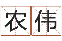 朱农伟四柱八字解释-免费为宝宝取名