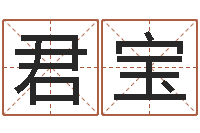 张君宝免费生辰八字婚姻配对-建筑风水学txt