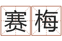 李赛梅茶叶商标起名-在线老黄历