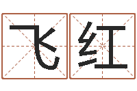 许飞红属羊还阴债年龙年运程-免费周易起名字