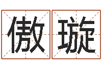 吕傲璇四柱八字排盘系统-转动命运之轮