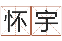 陈怀宇徐姓宝宝起名字-给杨宝宝取姓名