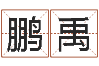 杨鹏禹专四预测卷-周公算命阿启