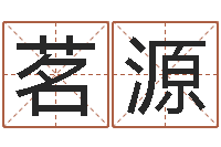 赵茗源十二生肖与星座-四柱预测学讲义