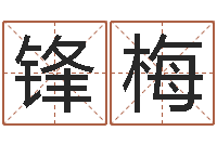 黄锋梅神州风水论坛-怎样取个好名字