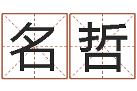 荆名哲13集装箱车价格-姓名查找