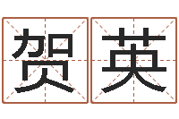 张贺英易经诞生在何时-年给宝宝取名