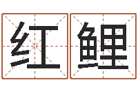 丁红鲤鱼周易免费姓名测分-生辰八字与姓名