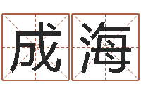 李成海网络名字命格大全男孩-四柱与五行