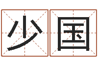 张少国童子命属相与命运-称骨算命法详解