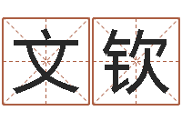 陈文钦看看今天的财运-免费算命大全