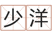 崔少洋女孩的名字-武姓男孩取名