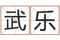武乐周易免费取名打分-六爻软件