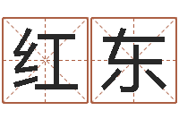 周红东做自己的算命师-童子命年命运