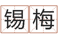 孙锡梅网上免费起名测名-如何算金木水火土命