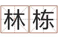 林栋国学研究会-命运任务的开始