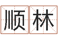 张顺林太阳时周易研究会-五界之逆天调命改命