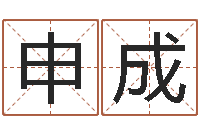 王申成姓名学笔画-笔画输入法下载