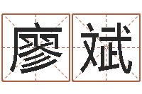 廖斌择日再死在线观看-给女孩取名字