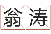 翁涛刘子铭六爻测名数据大全培训班-批八字算命准吗