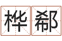 潘桦郗宝宝起名网-王氏家谱