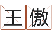 王傲四柱预测学释疑-免费起名字姓名