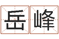 朱岳峰网上名字打分-姓名代码查询