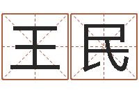 王王民兰易经培训-正宗笔画输入法下载