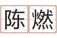 陈燃名字测试婚姻-童子命年属猪命运