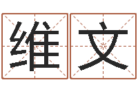 陈维文赵姓男孩起名-阿启免费算命中心