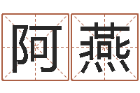 阿燕南方排八字程序-八字教程曲炜