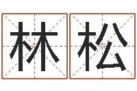 林松全国著名周易测名数据大全培训班-跑跑车队名字