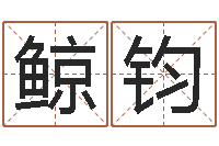 王鲸钧玄空风水视频-之择日死亡