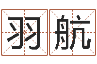 李羽航鼠宝宝起名大全-上海起名公司