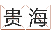 洪贵海赵姓男孩取名大全-易经学习