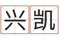 董兴凯免费改名字-在线生辰八字起名