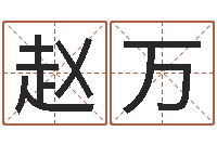 赵万电脑起名字打分-四柱排盘软件