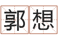 郭想教育公司取名-风水峦头教学