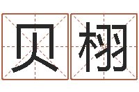 王贝栩测名公司起名测分-单机纸牌因果下载